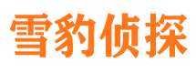 青云谱调查事务所